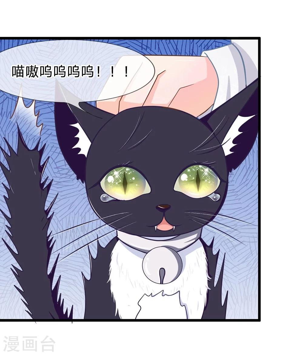 第107-108话 吃豆豆的猫-第73话