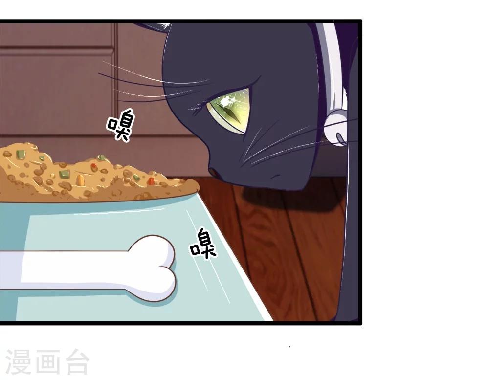 第107-108话 吃豆豆的猫-第73话