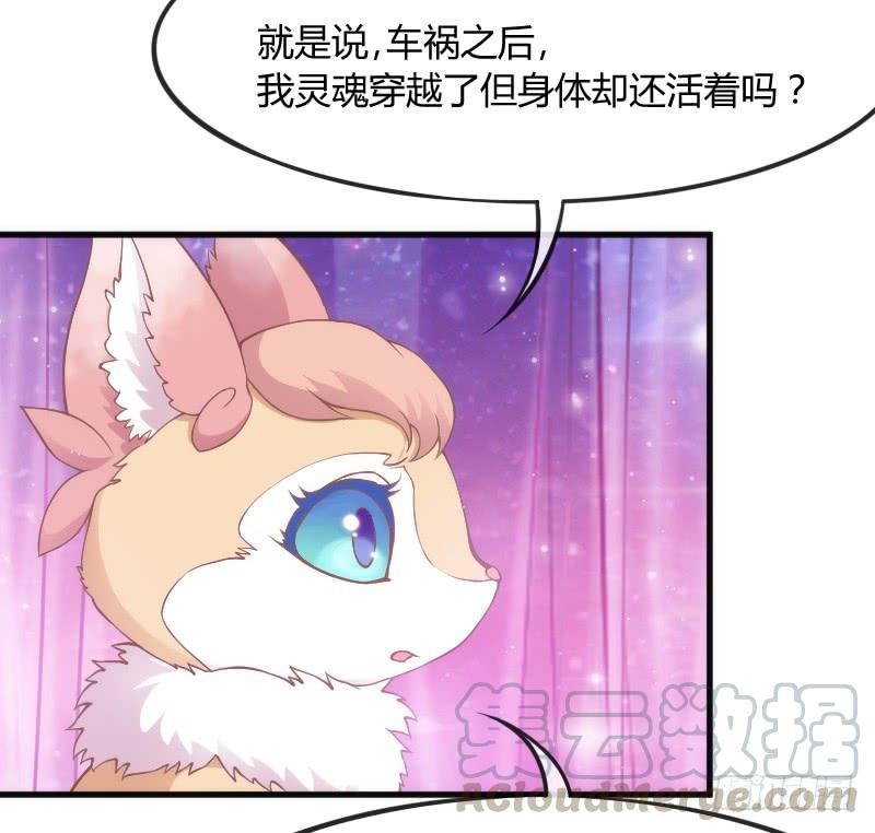 黑白交锋，视线激烈碰撞！(1/2)-第115话