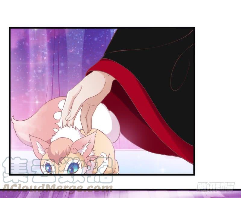 黑白交锋，视线激烈碰撞！(1/2)-第115话