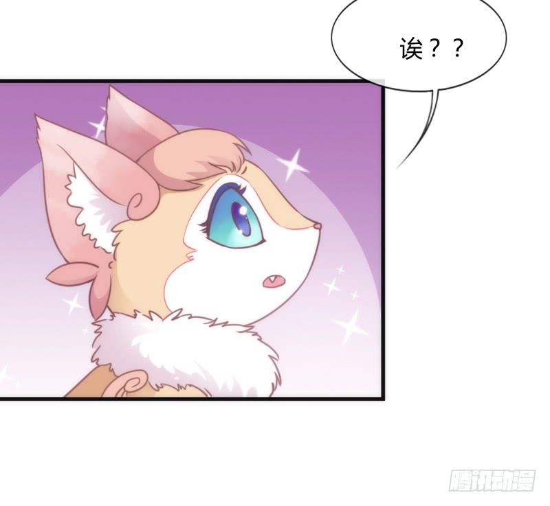小可爱，何必如此激动呢？(1/2)-第117话