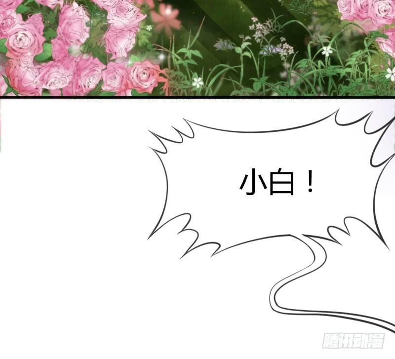 小白不听！并一爪打翻了醋坛！(1/2)-第133话