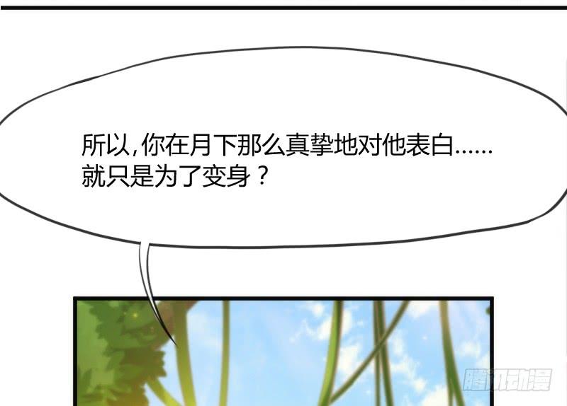 小白不听！并一爪打翻了醋坛！(1/2)-第133话