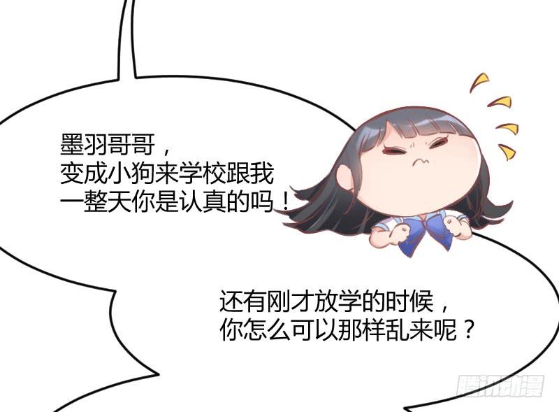 投喂！小白小黑の酸甜糖糖！(1/2)-第141话