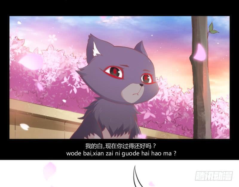 幸福，就是你对我笑的样子~(1/2)-第151话