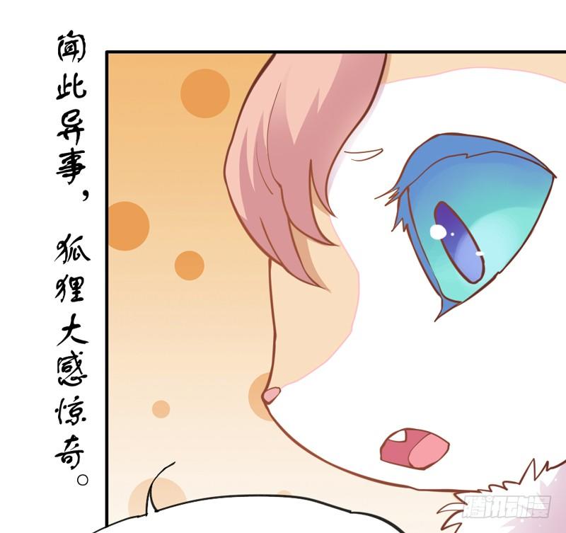 世有小狐瑶瑶，乃吾好逑~-第25话