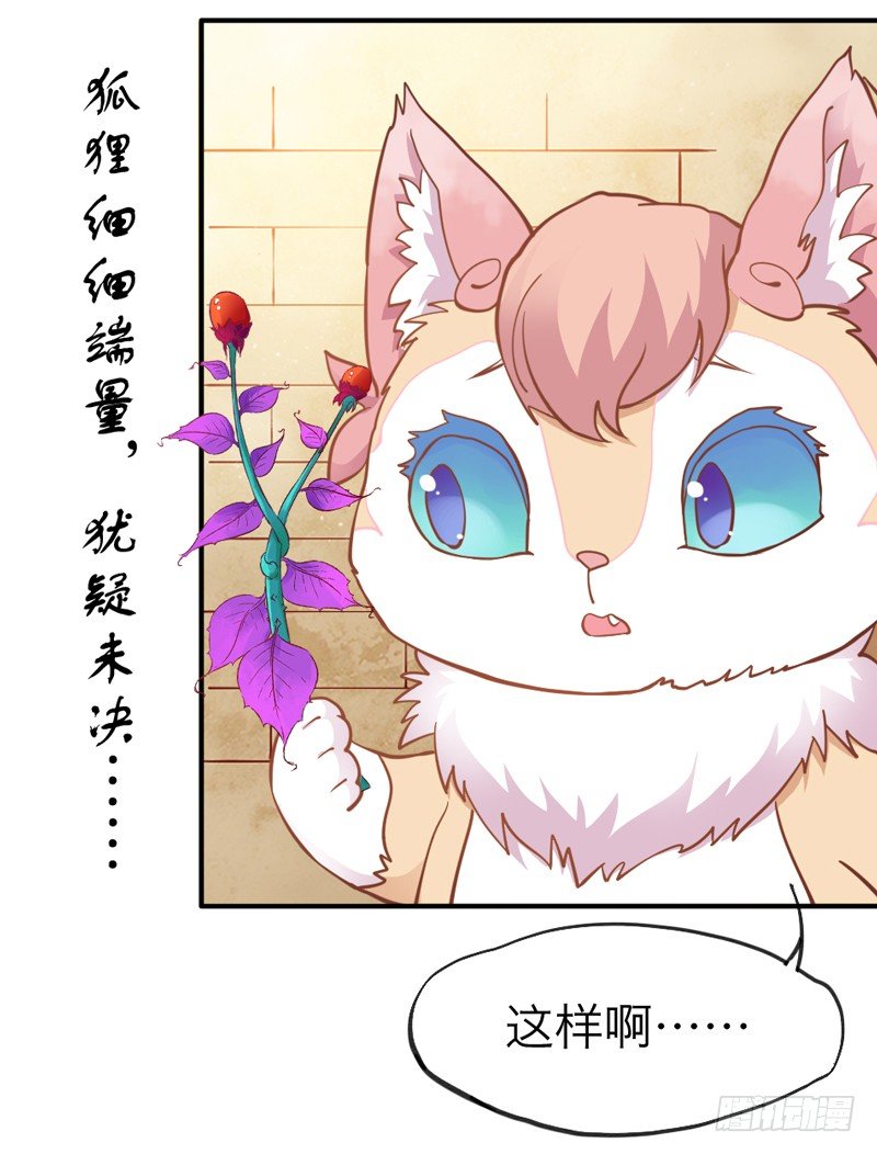 世有小狐瑶瑶，乃吾好逑~-第25话