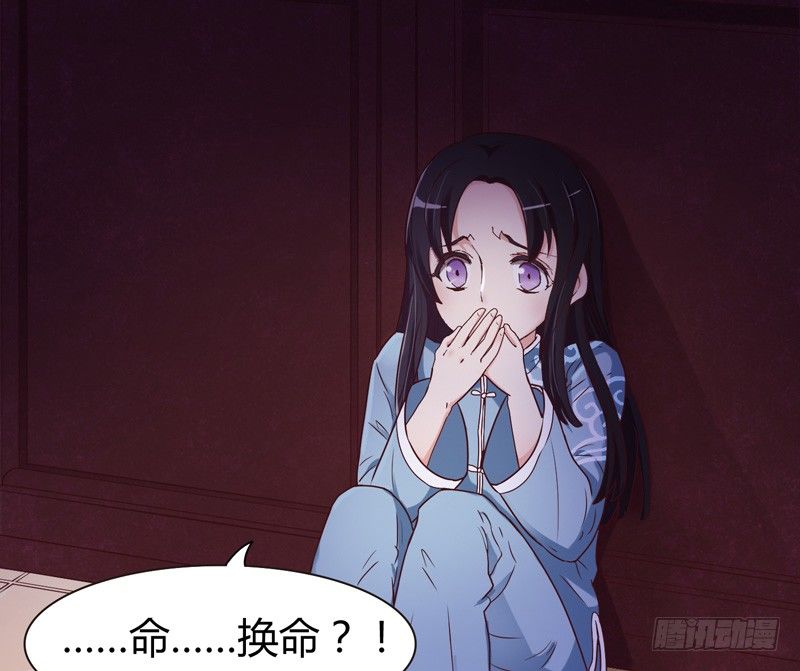 君子小白人如玉，风华世无双~-第5话