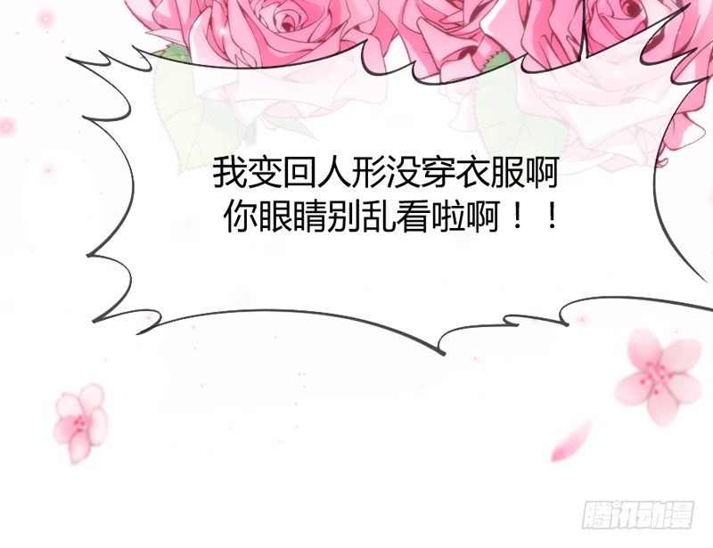 谁在敲门？(1/2)-第43话