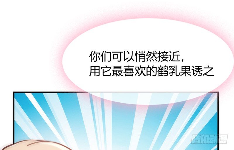 月夜浪漫，想和你一起亡命天涯！(1/2)-第47话