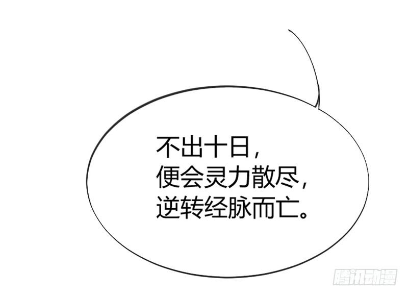 小白？可不是你想象的那种小白！(1/2)-第53话