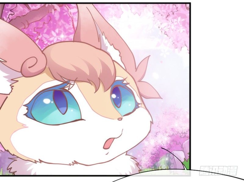 小白？可不是你想象的那种小白！(1/2)-第53话
