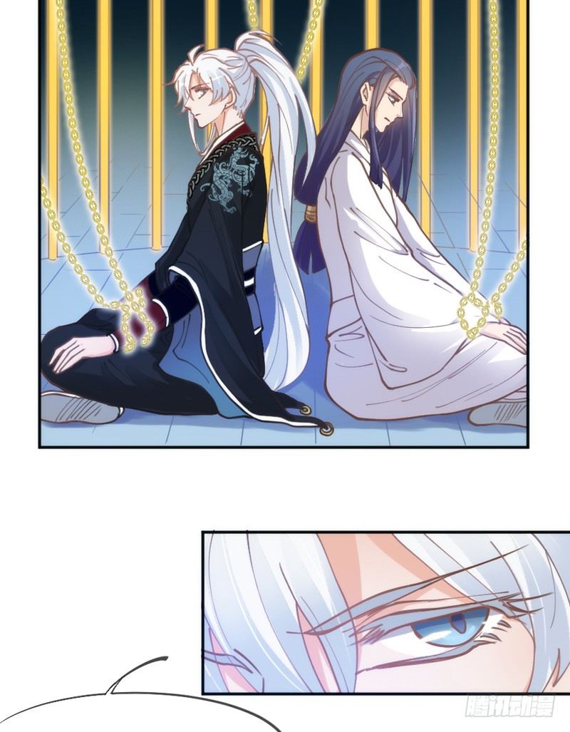 英雄救美！一切为了小白殿下！(1/2)-第57话