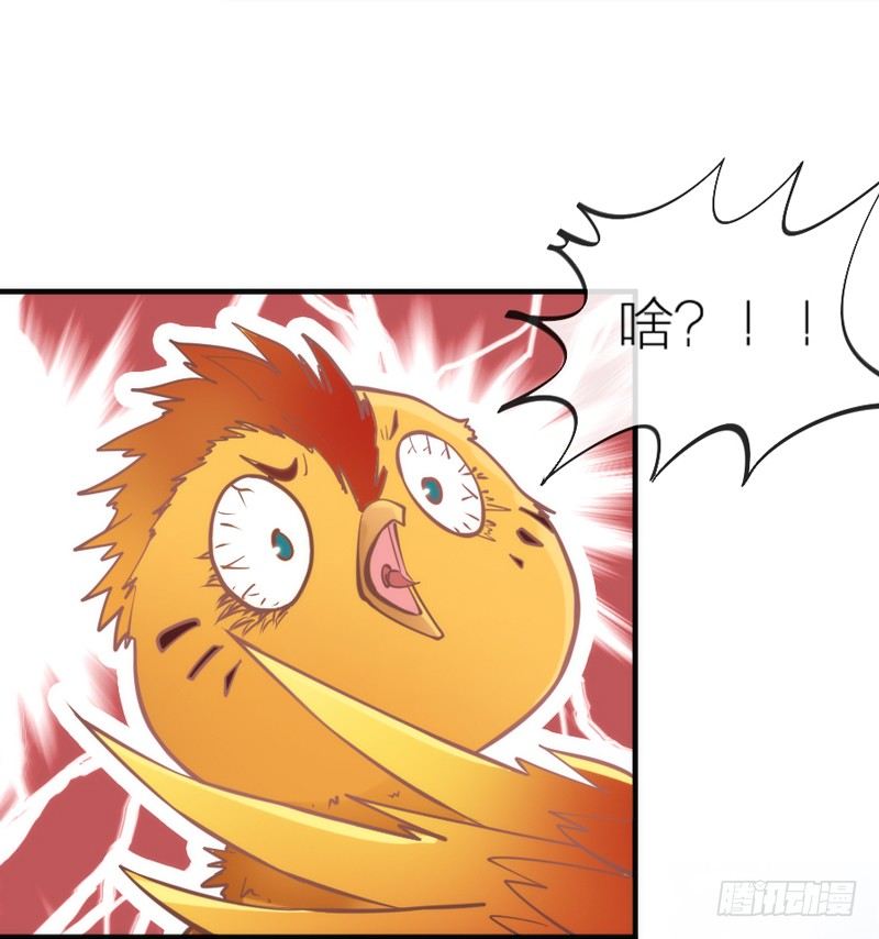 端午番外：吃货の选择！(1/2)-第73话