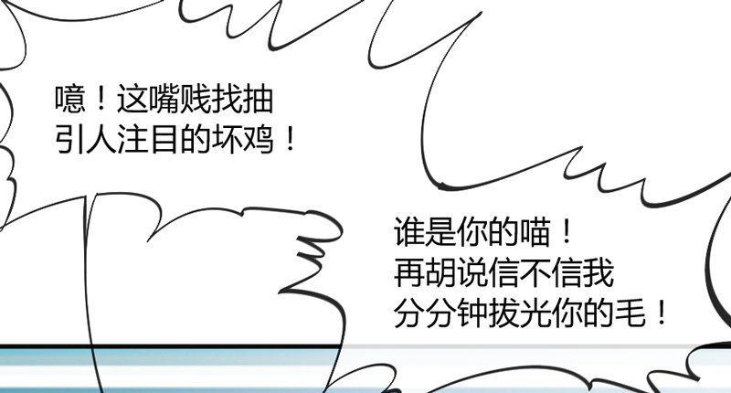 这可是我的喵！(1/2)-第83话