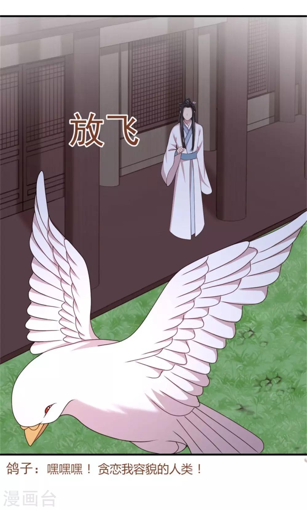 第37话 未婚夫和鸽子的秘密-第39话