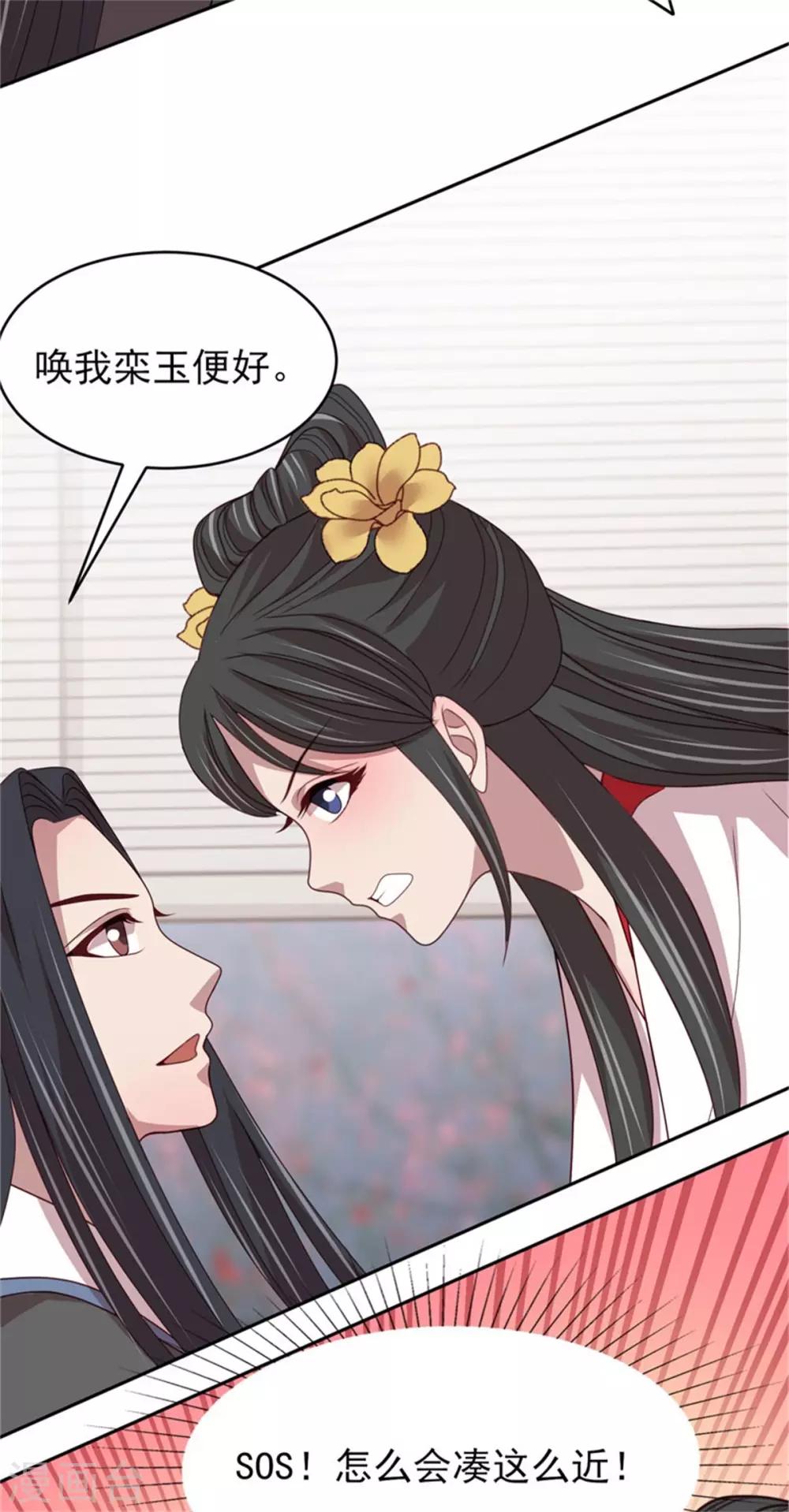 第51话 婚契条例-第53话