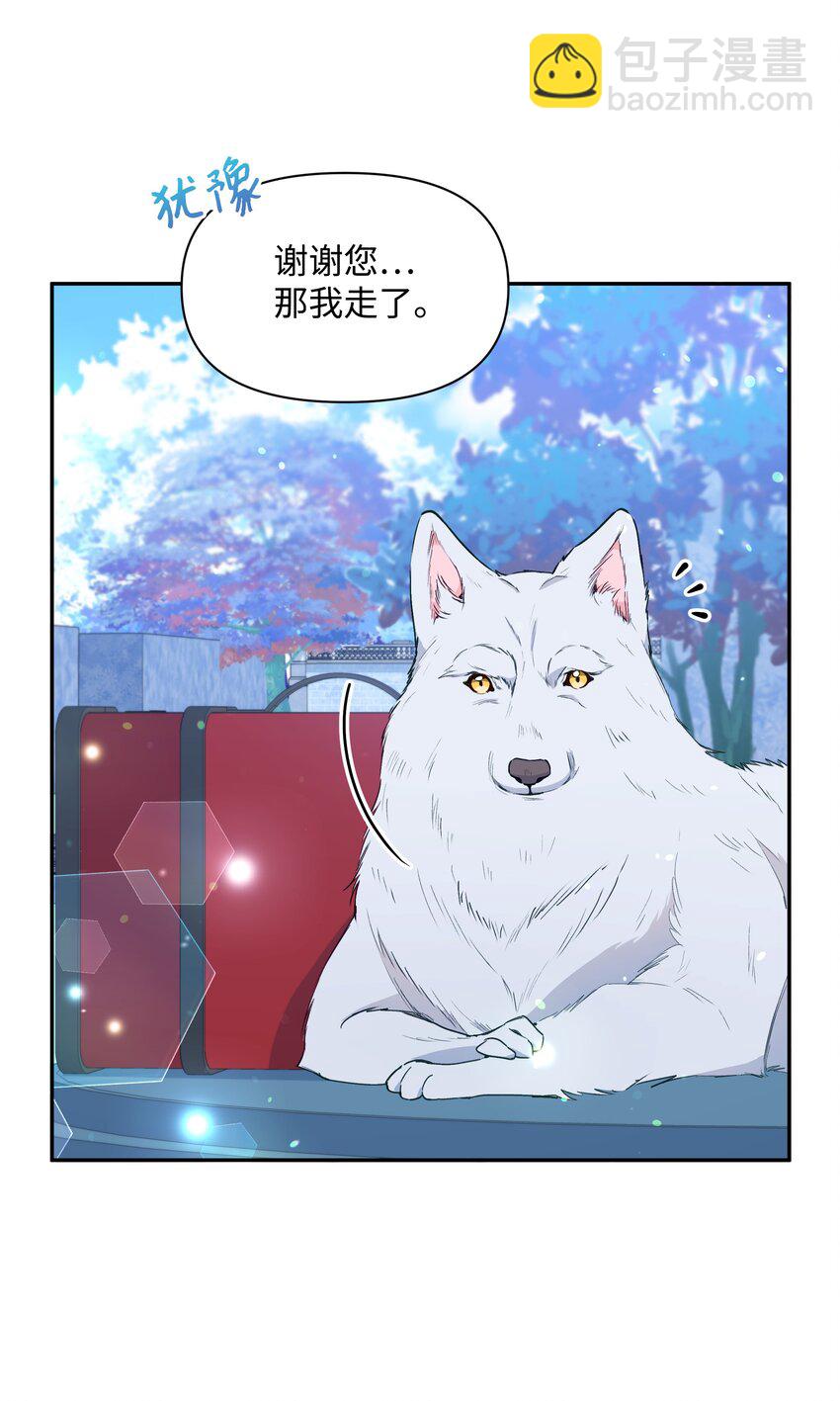063 空荡的冰雪之城(1/2)-第65话
