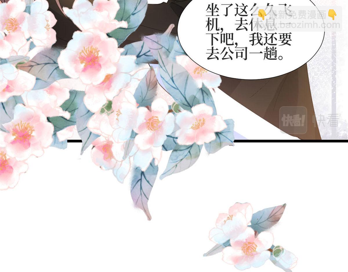 第184话 宠粉(1/3)-第187话