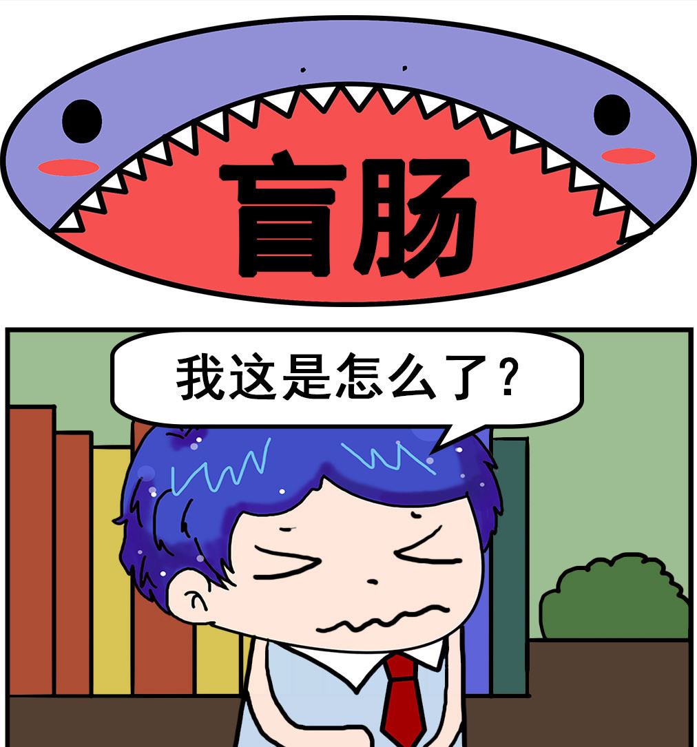 第049话 盲肠-第49话