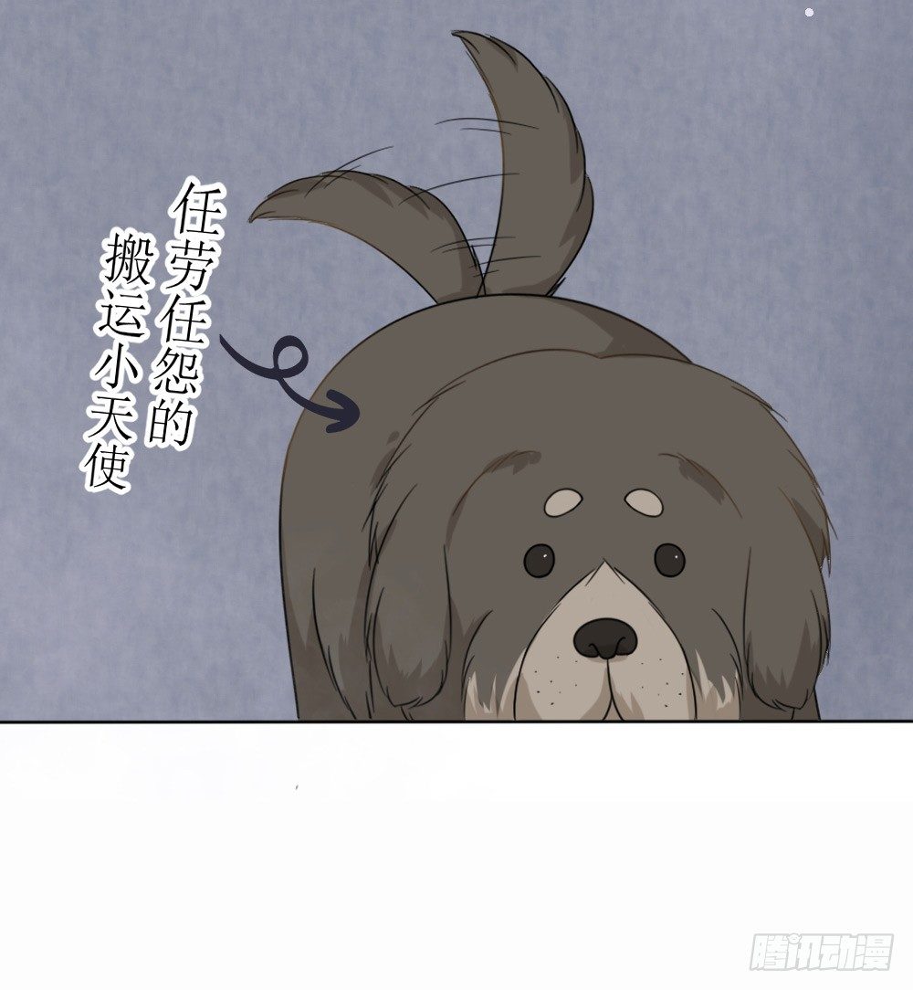 第16话 越狱失败，被狗活逮-第19话