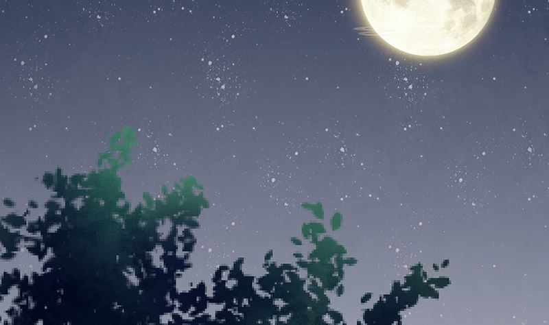 第51话 白萌萌失踪了(1/2)-第51话