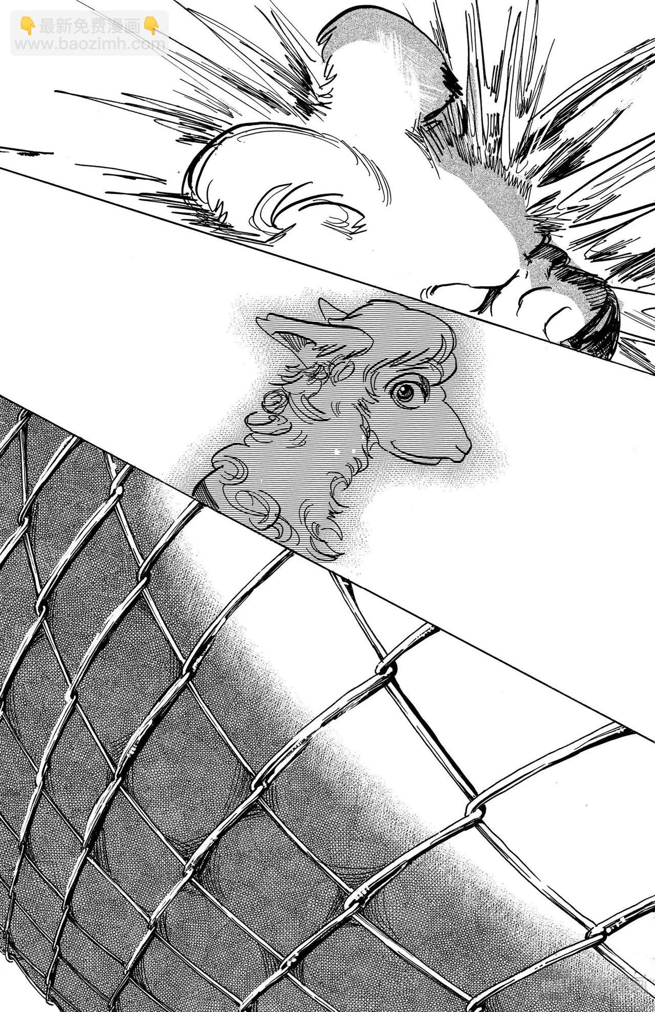 🍵BEASTARS 动物狂想曲 第96话 契约以来红色印泥的交换 第13页