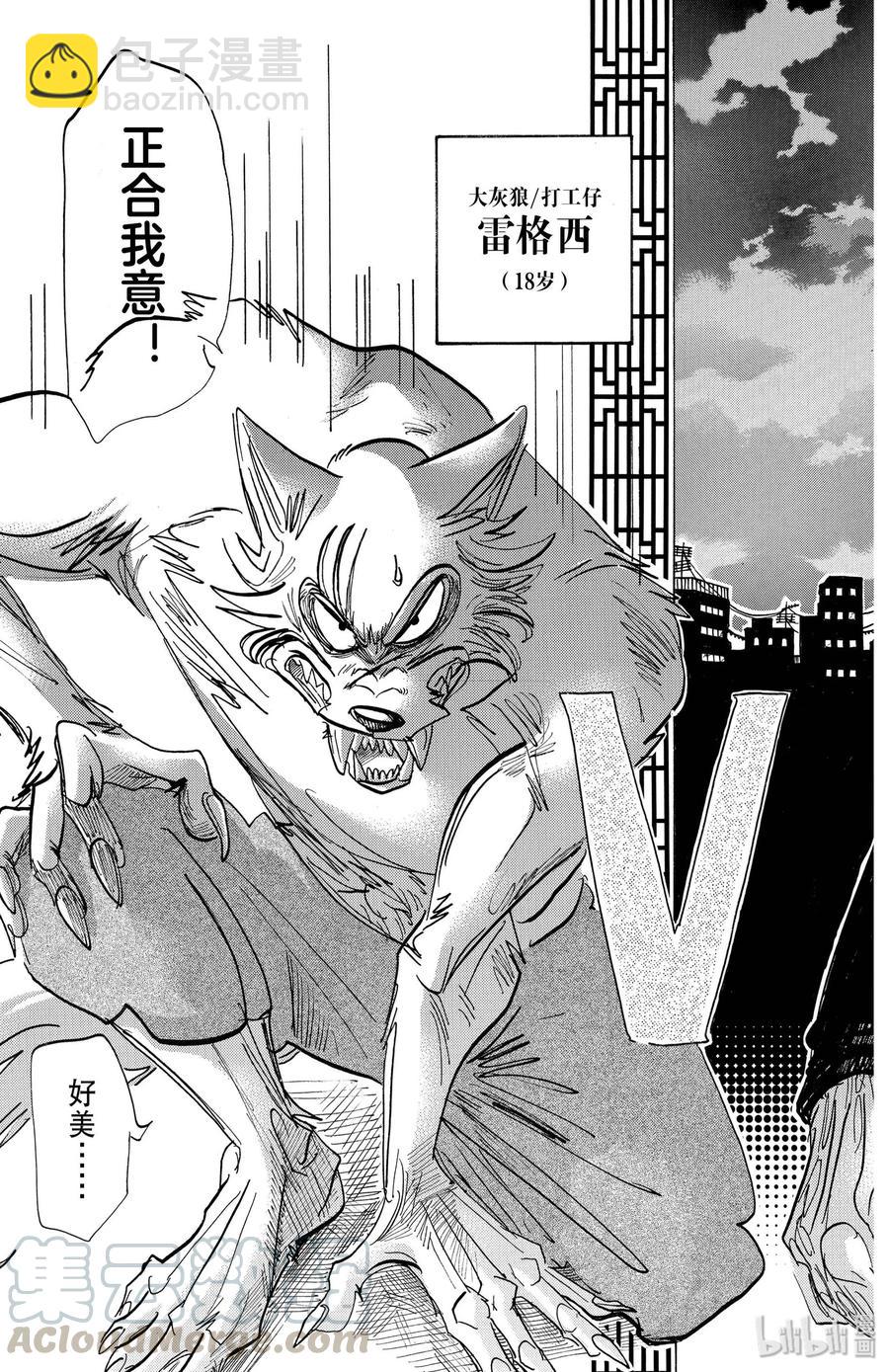 🍵BEASTARS 动物狂想曲 第177话 今晚为冲浪而来 第5页