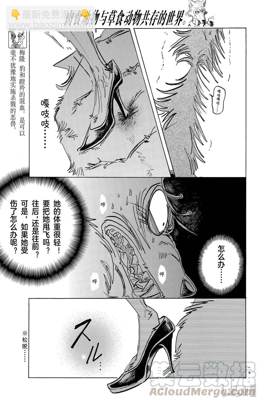 🍵BEASTARS 动物狂想曲 第179话 高跟鞋的威力 第13页