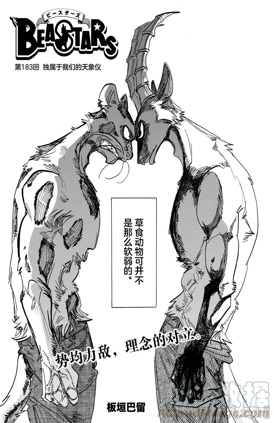 🍵BEASTARS 动物狂想曲 第183话 独属于我们的天象仪 第1页