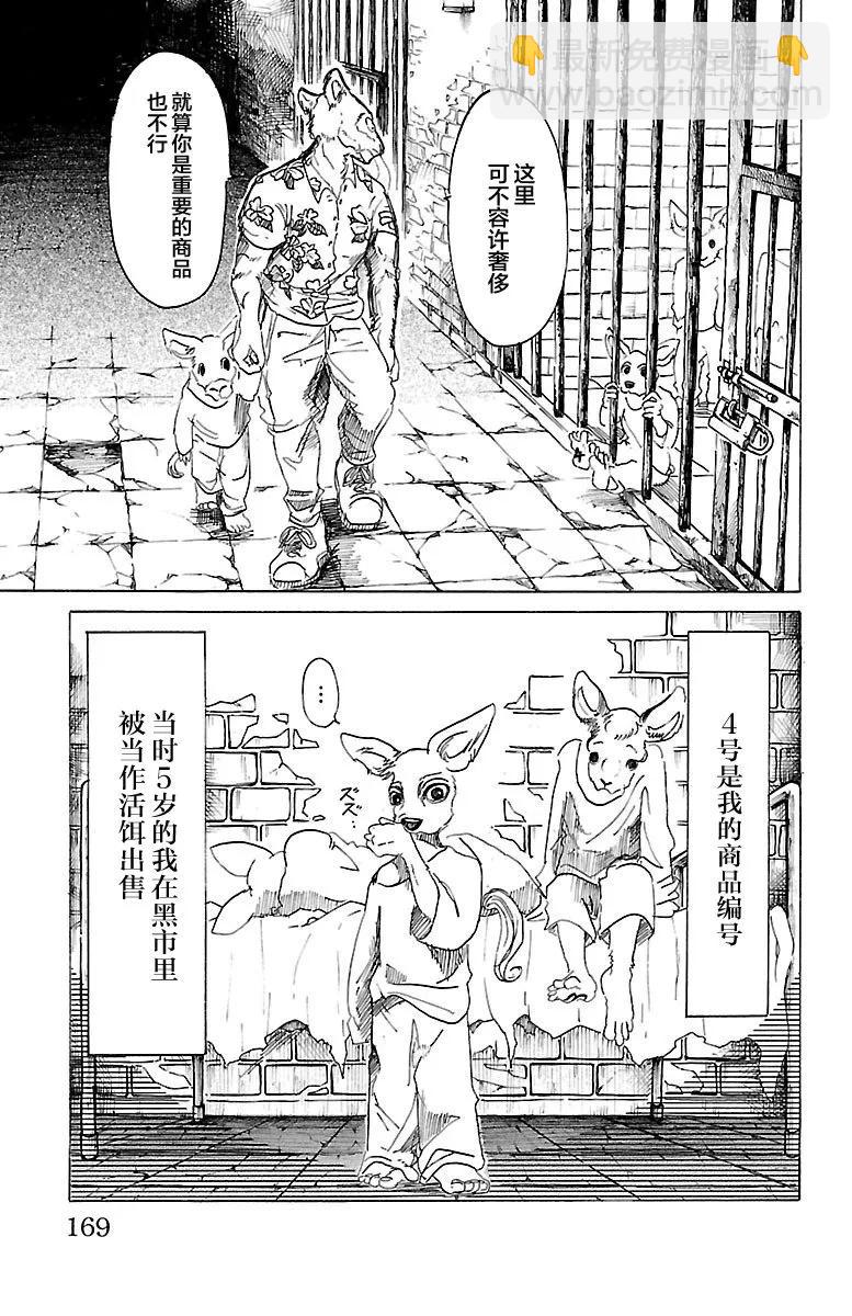 🍵BEASTARS 动物狂想曲 第33话 宣誓往上走 第11页