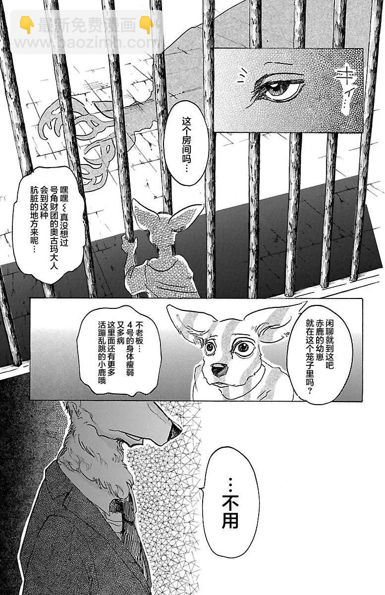 🍵BEASTARS 动物狂想曲 第33话 宣誓往上走 第13页