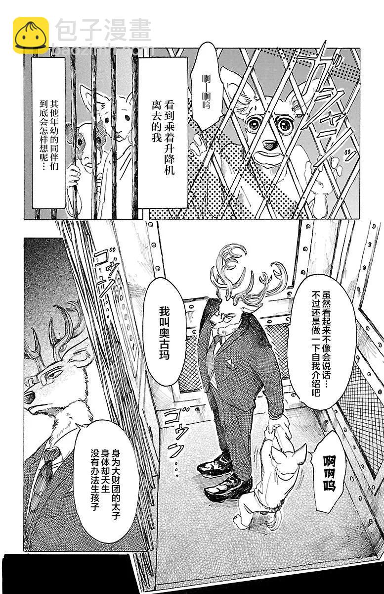 🍵BEASTARS 动物狂想曲 第33话 宣誓往上走 第16页