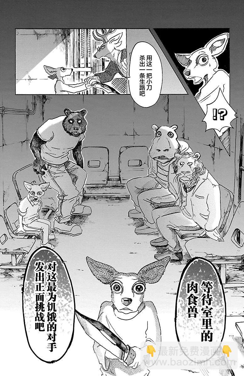 🍵BEASTARS 动物狂想曲 第33话 宣誓往上走 第18页