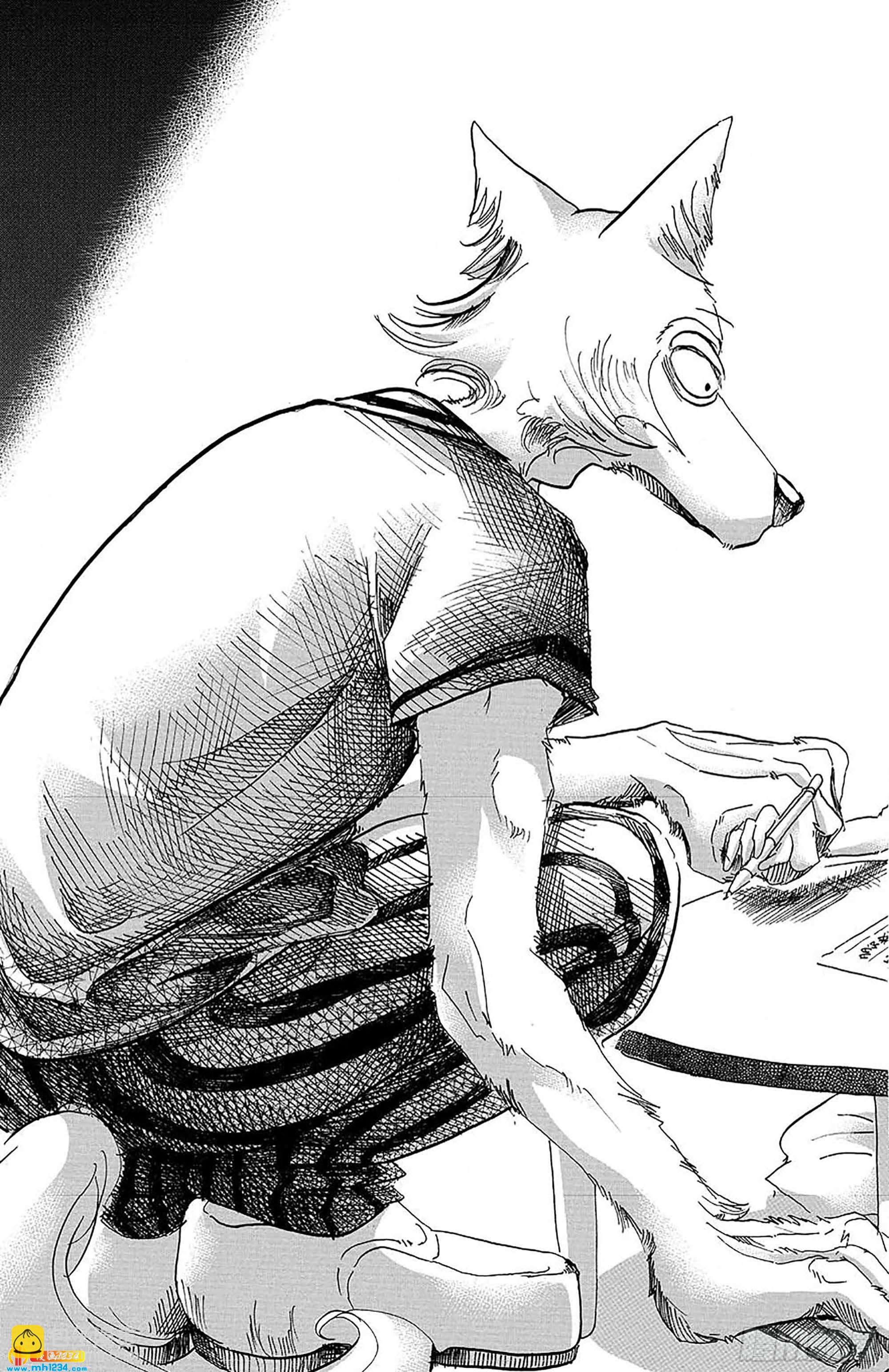 🍵BEASTARS 动物狂想曲 第38话 让白毛扫过横线 第13页