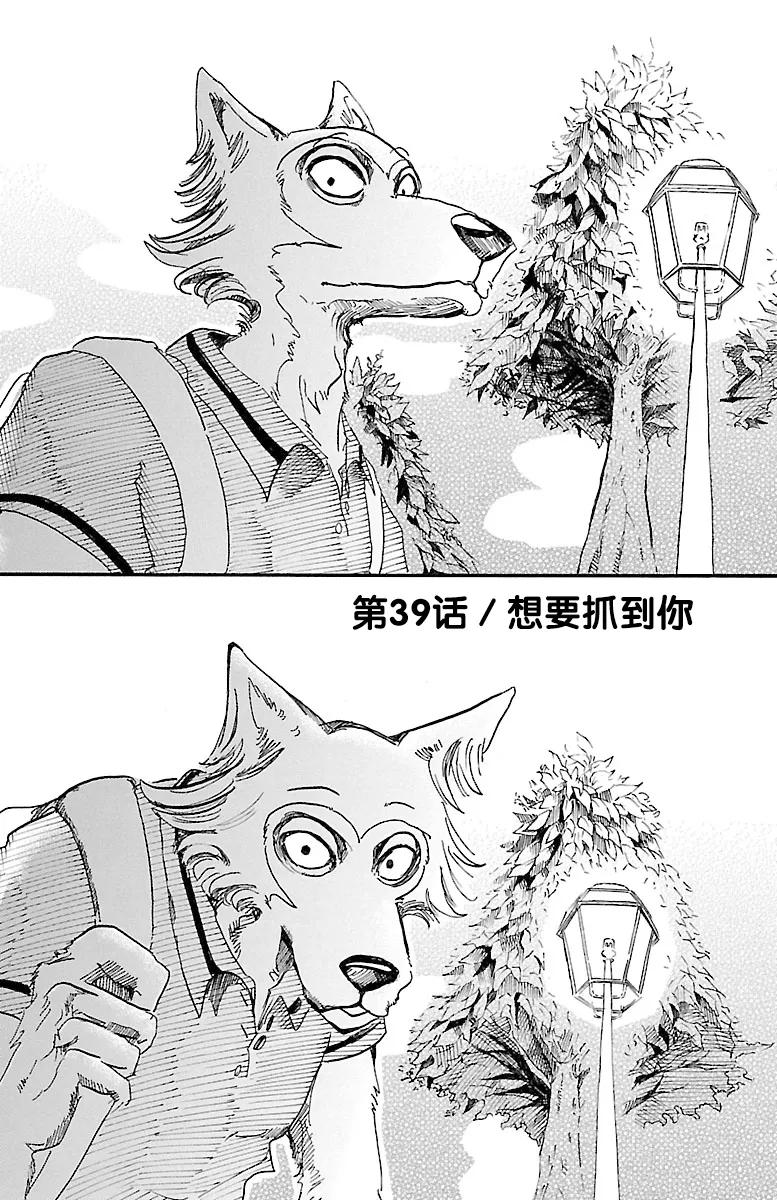 🍵BEASTARS 动物狂想曲 第39话 想要捉住你 第1页