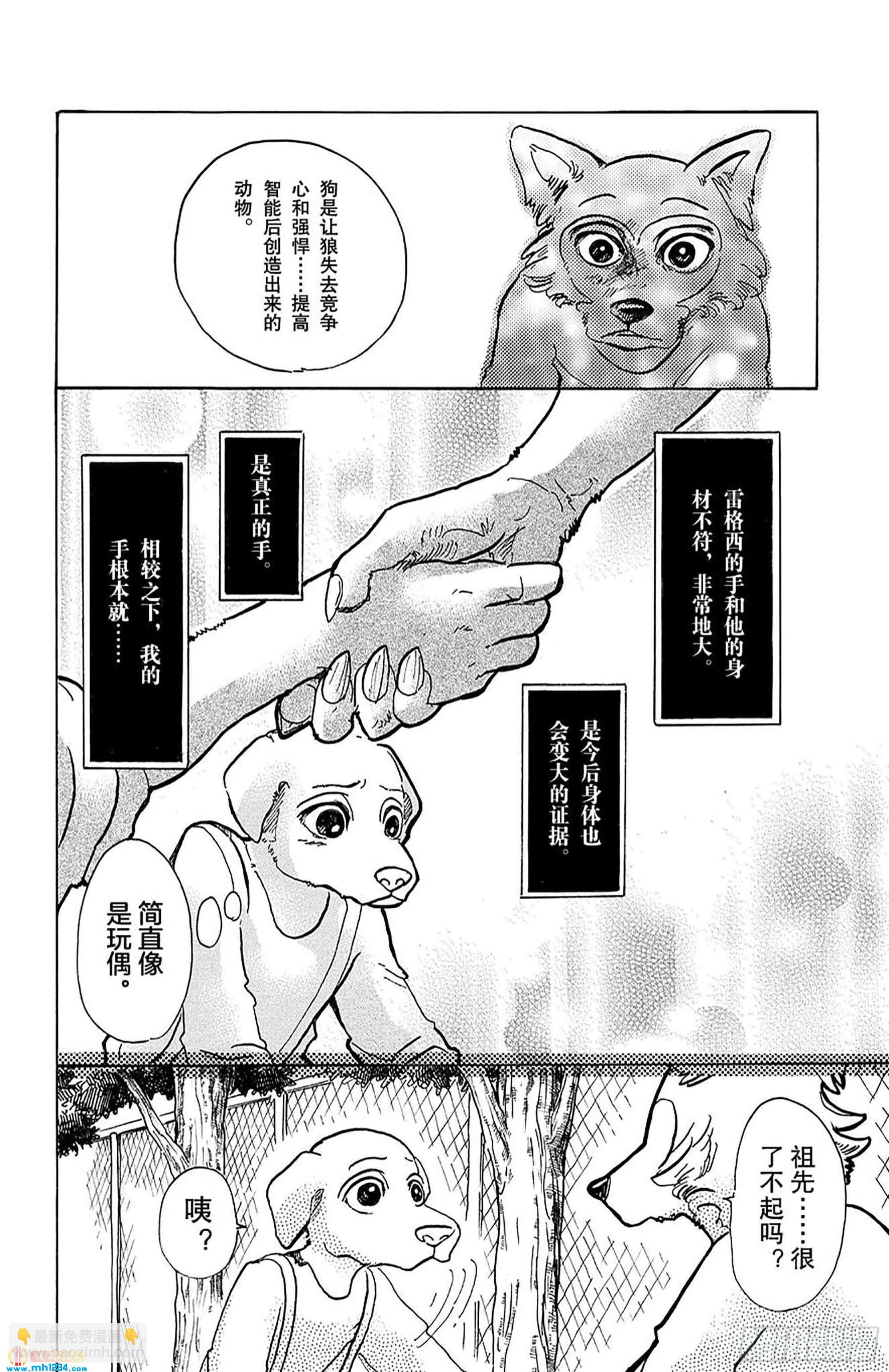 🍵BEASTARS 动物狂想曲 第49话 能够飞越古代的孩子们 第12页