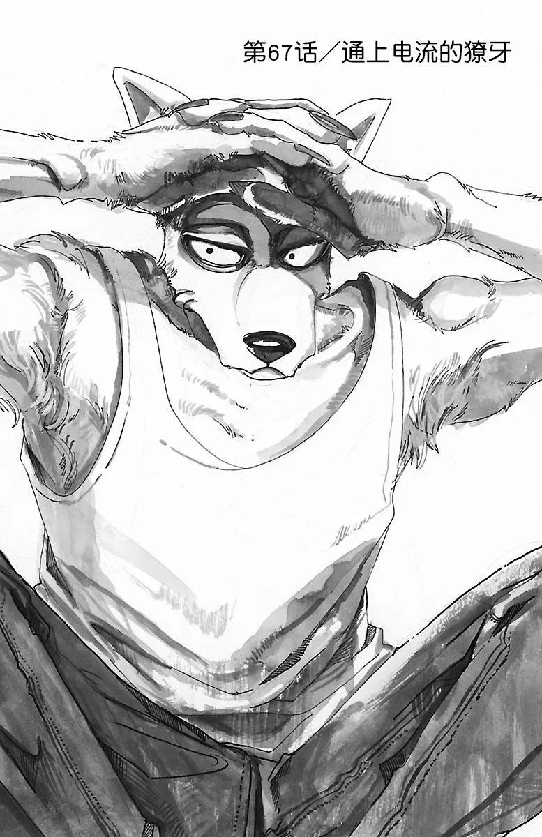 🍵BEASTARS 动物狂想曲 第67话 电流通过齿列 第1页
