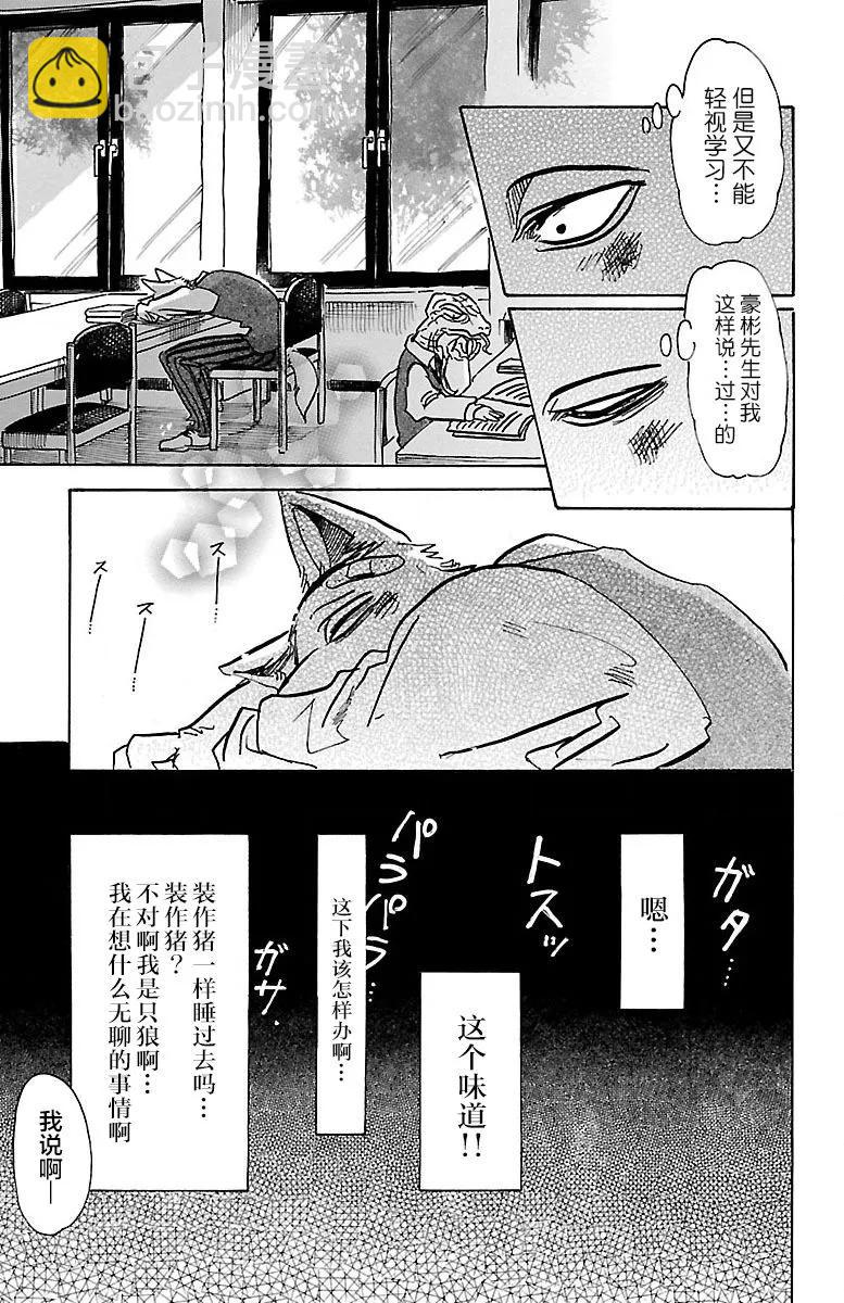 🍵BEASTARS 动物狂想曲 第69话 有线电话的线路混乱 第13页