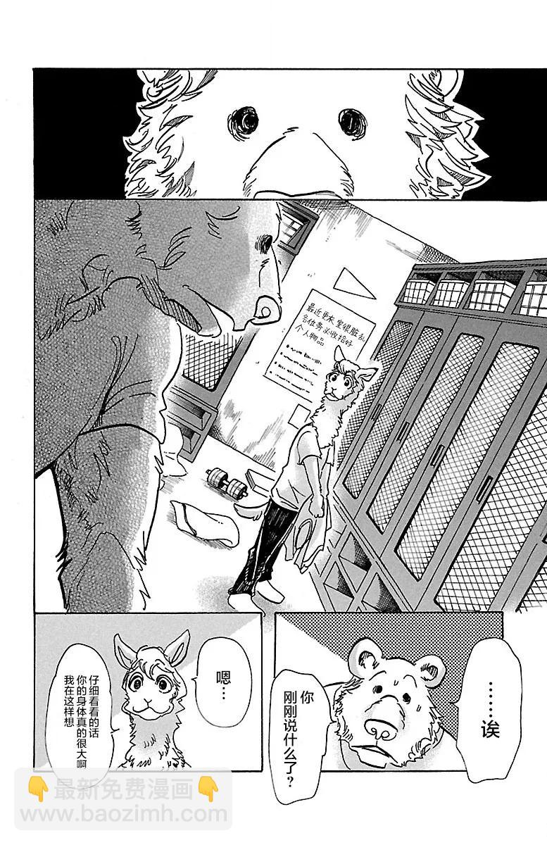 🍵BEASTARS 动物狂想曲 第77话 蜂蜜狩猎的纯情 第8页
