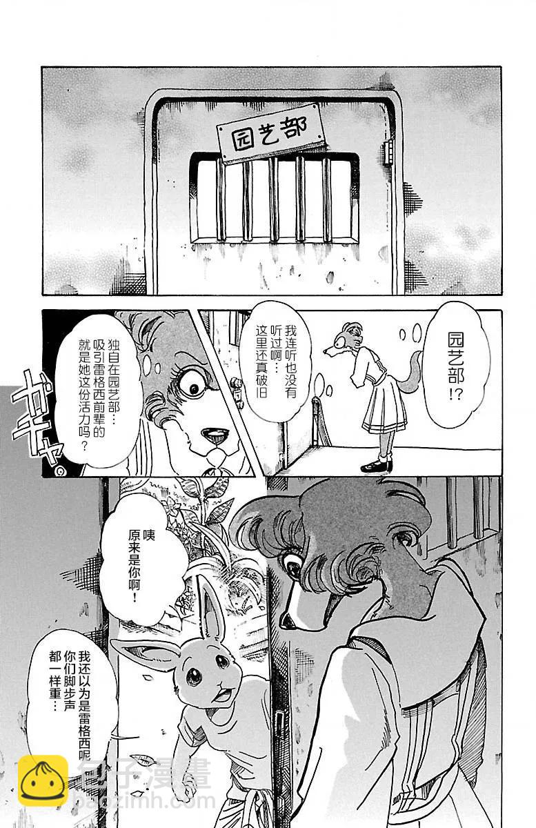 🍵BEASTARS 动物狂想曲 第79话 内衣的密会 第11页