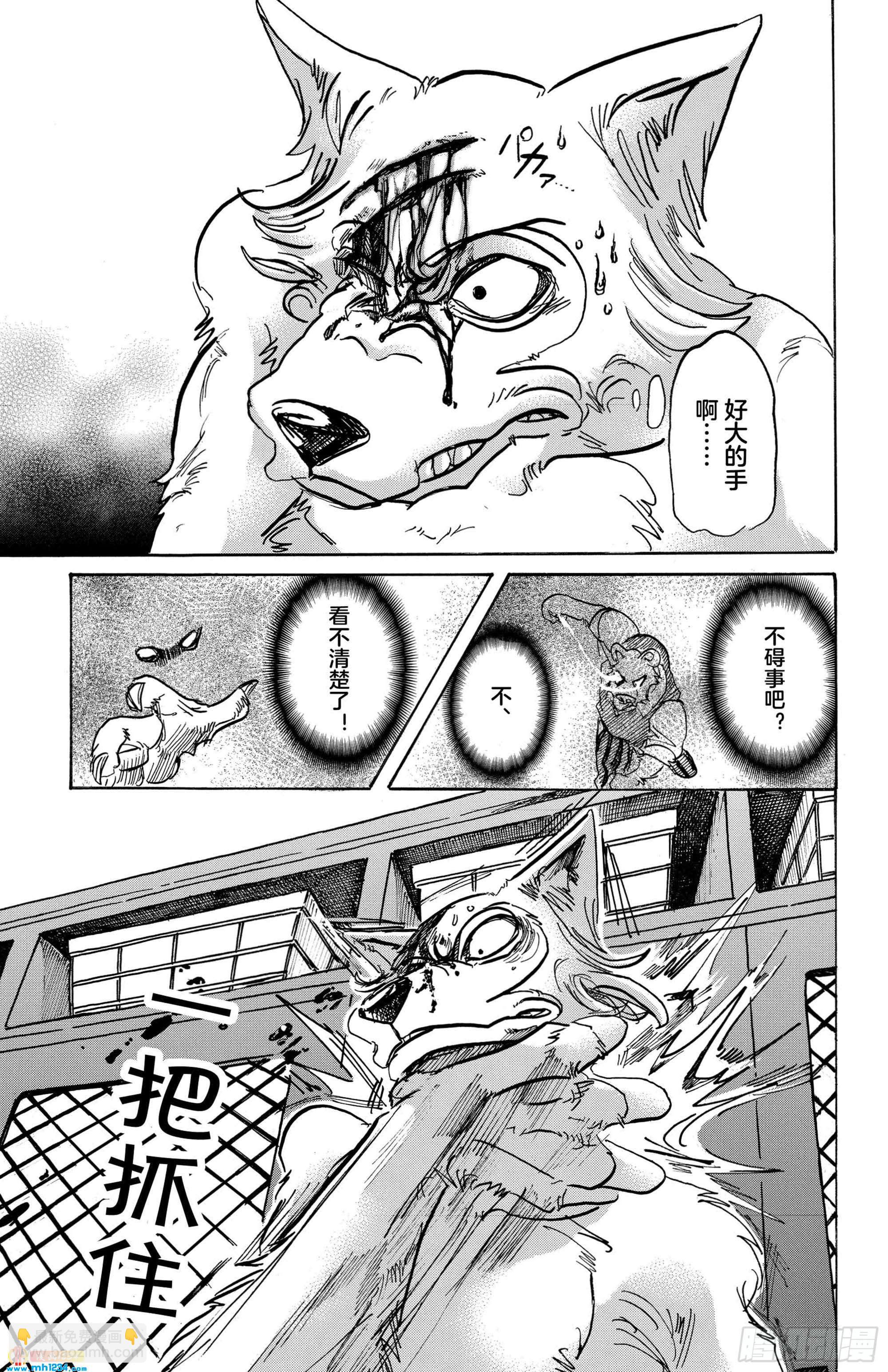🍵BEASTARS 动物狂想曲 第84话 双手卷起狂流 第13页