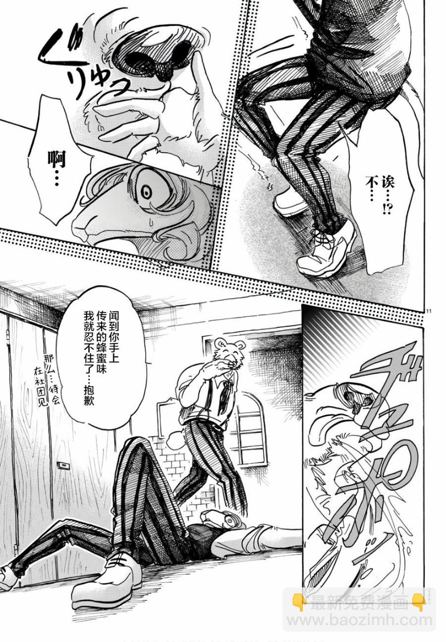 🍵BEASTARS 动物狂想曲 第87话 新星、最佳男配角 第11页
