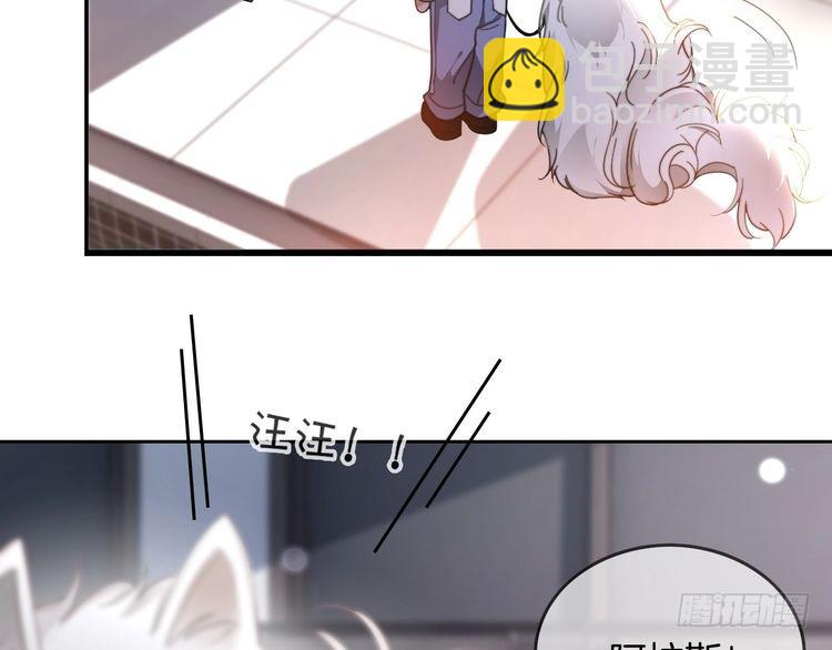 第251话（加更） 狗狗受伤(1/2)-第251话