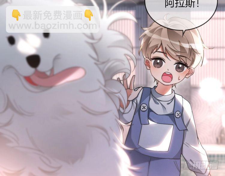 第251话（加更） 狗狗受伤(1/2)-第251话