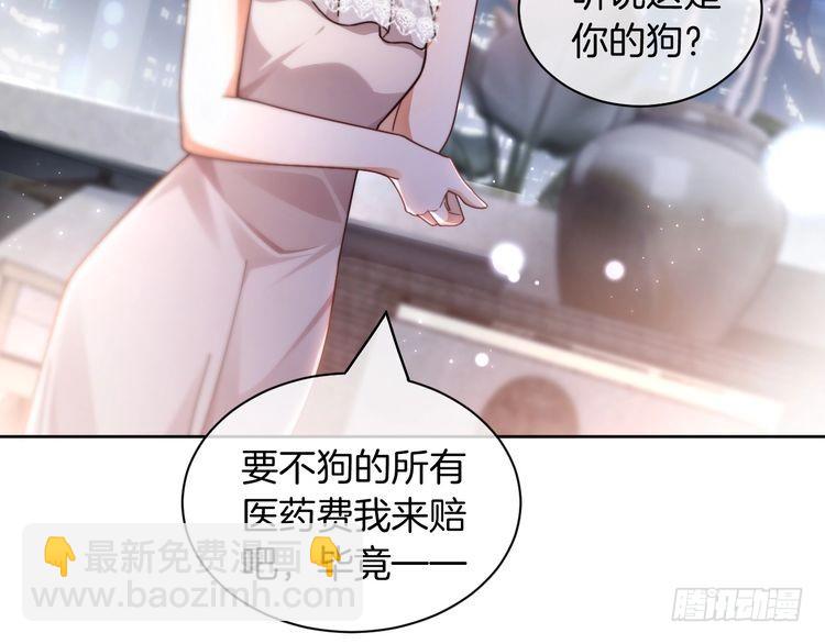 第251话（加更） 狗狗受伤(1/2)-第251话