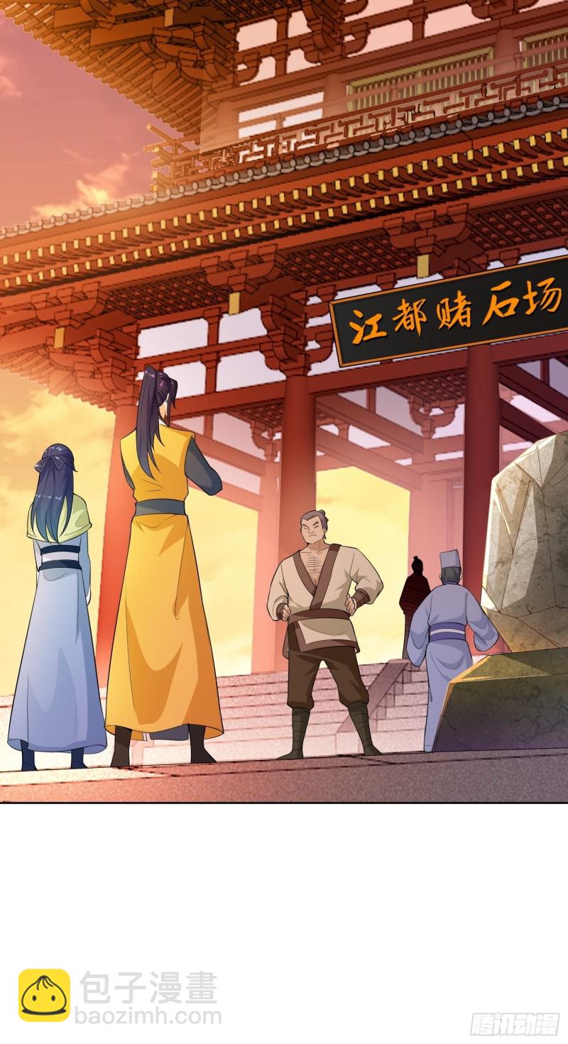 🍵被迫成为反派赘婿 江都赌石王 第13页