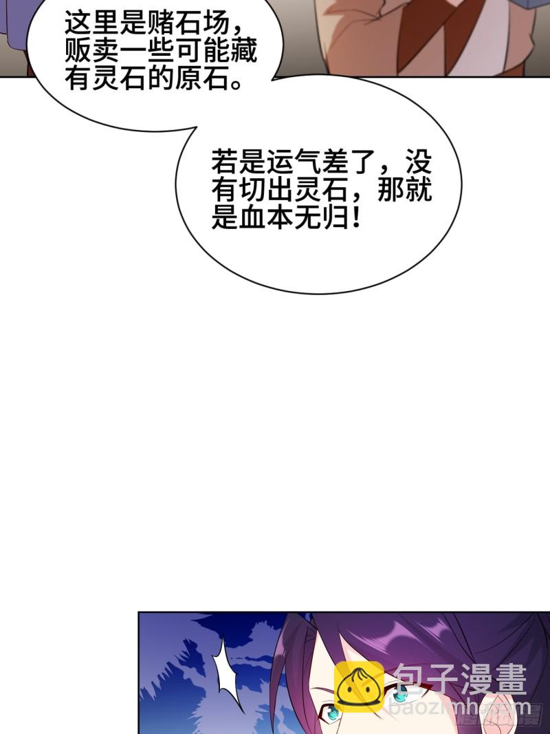 🍵被迫成为反派赘婿 江都赌石王 第15页