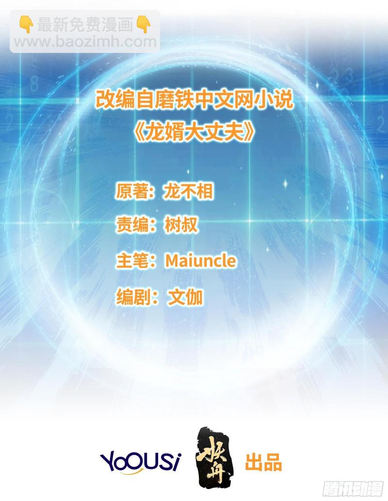 🍵被迫成为反派赘婿 江都赌石王 第2页