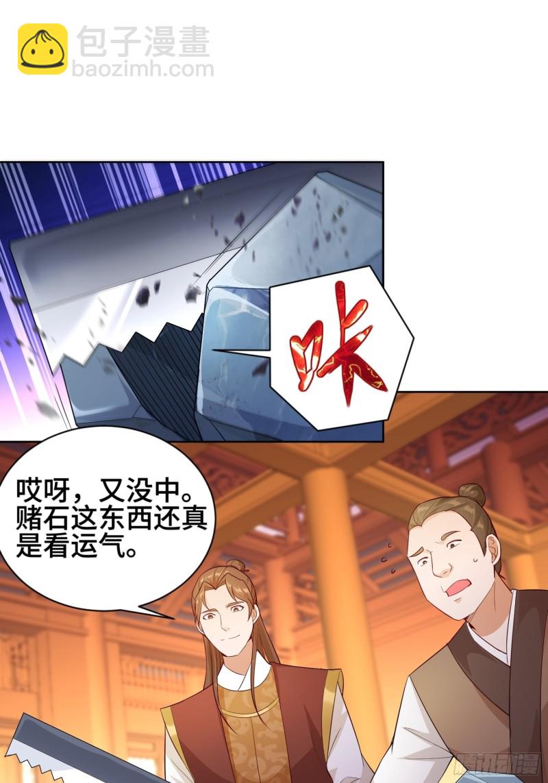 🍵被迫成为反派赘婿 江都赌石王 第26页